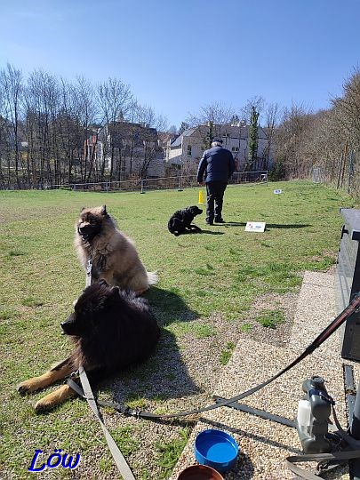 20.3.2024 - Training in jeder Richtung